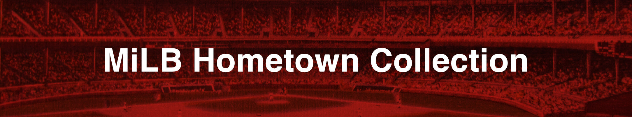 MiLB Hometown Collection