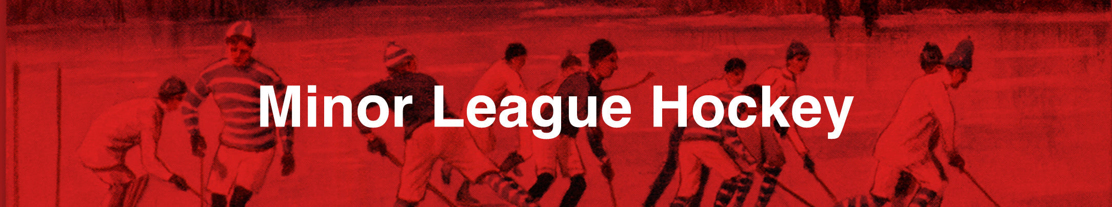 Minor League Hockey
