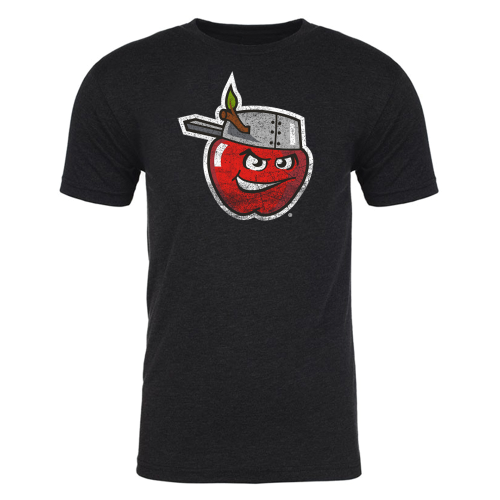 Fort Wayne TinCaps Mens Retro Vintage T-Shirt