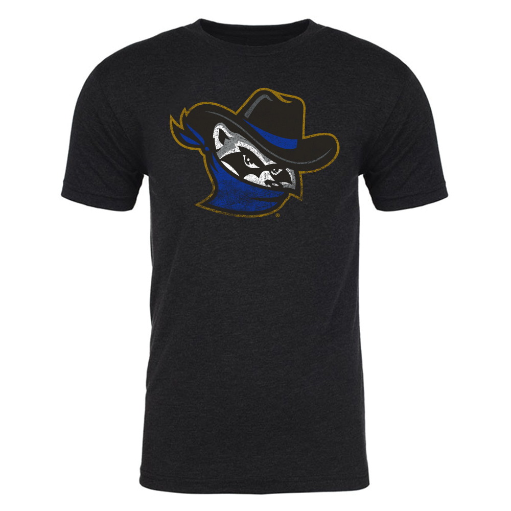 Quad Cities River Bandits Mens Retro Vintage T-Shirt