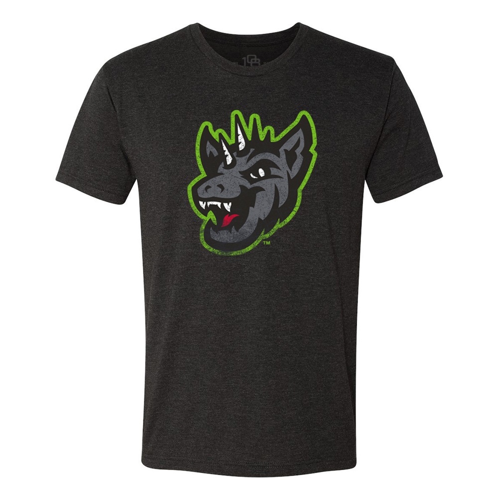 Round Rock Express Mens Copa Vintage T-Shirt
