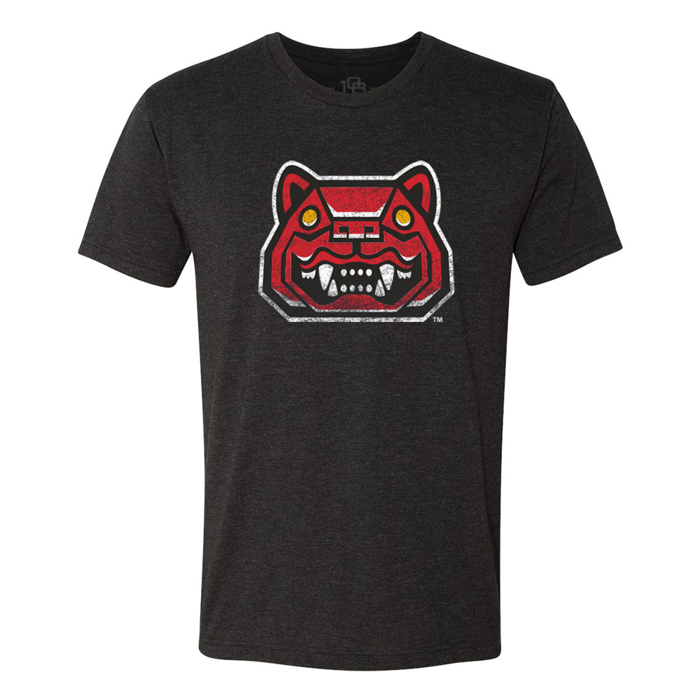 New Hampshire Fisher Cats Mens Retro Vintage T-Shirt