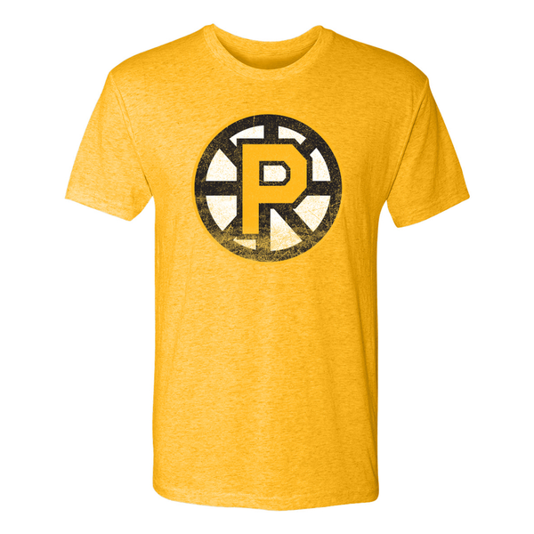 Providence Bruins Mens Retro Vintage T-Shirt