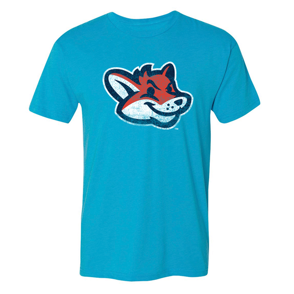 Somerset Patriots Mens Retro Vintage T-Shirt